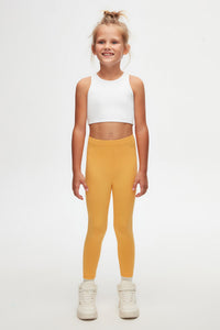 AMBER